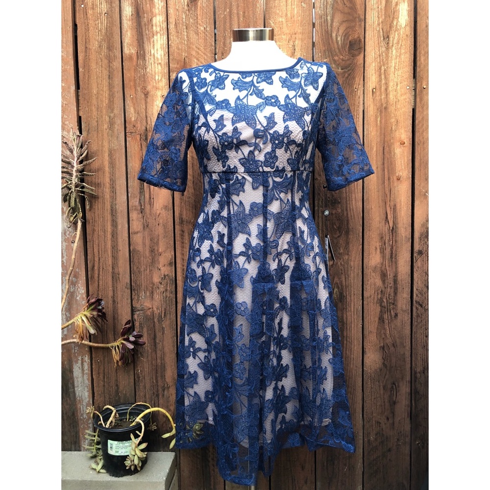 NWT Adrianna Papell Salmone Embroidered Lace Dress